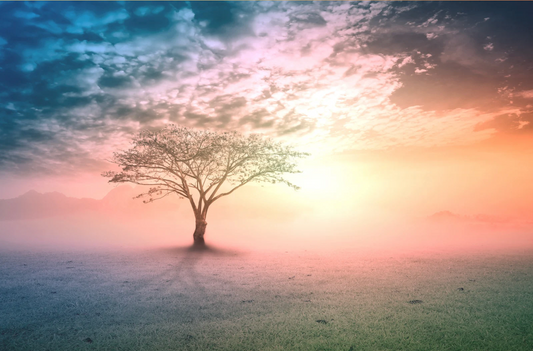 Threshold Crossing: The Name Carries the Nature in You