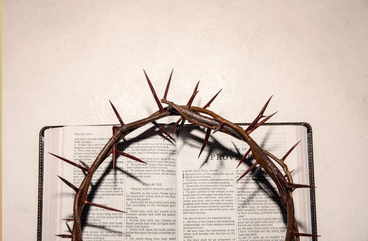 Royal Identity – Setting the Captive Free