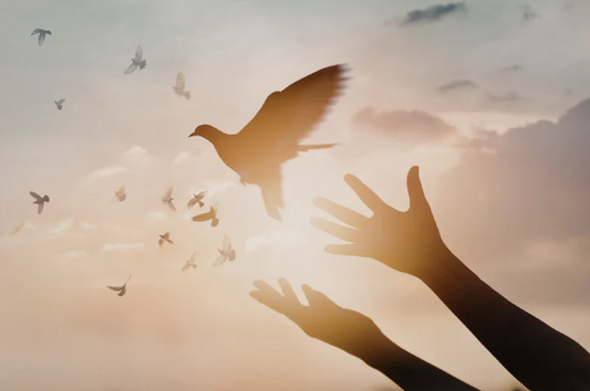 Cities of Refuge | Part 2