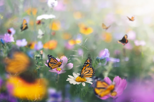 Cities of Refuge | Part 3