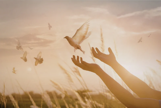 Cities of Refuge | Part 4